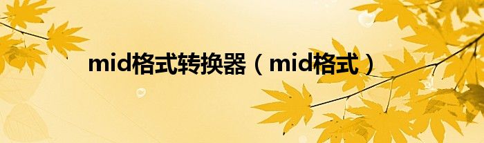 mid格式转换器（mid格式）