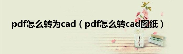 pdf怎么转为cad（pdf怎么转cad图纸）