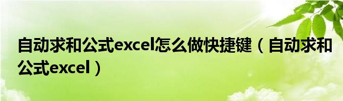 自动求和公式excel怎么做快捷键（自动求和公式excel）