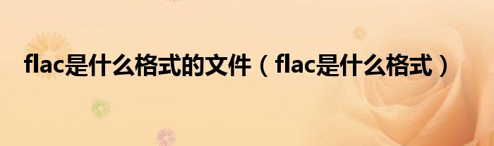 flac是什么格式的文件（flac是什么格式）