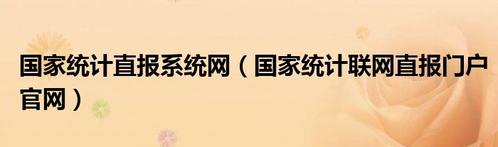 国家统计直报系统网（国家统计联网直报门户官网）