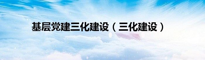 基层党建三化建设（三化建设）