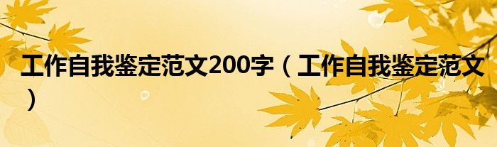 工作自我鉴定范文200字（工作自我鉴定范文）