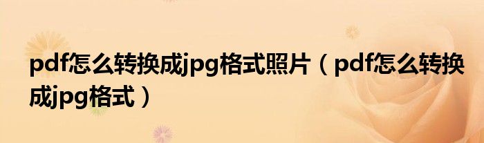 pdf怎么转换成jpg格式照片（pdf怎么转换成jpg格式）