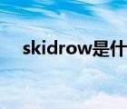 skidrow是什么文件（skidrow是什么）