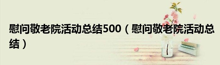 慰问敬老院活动总结500（慰问敬老院活动总结）