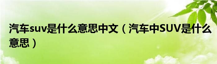 汽车suv是什么意思中文（汽车中SUV是什么意思）