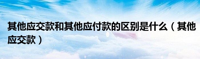 其他应交款和其他应付款的区别是什么（其他应交款）