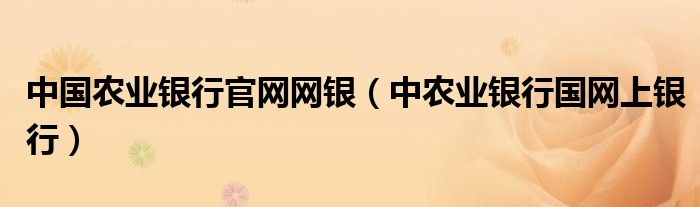 中国农业银行官网网银（中农业银行国网上银行）