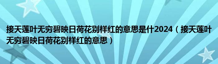 接天莲叶无穷碧映日荷花别样红的意思是什2024（接天莲叶无穷碧映日荷花别样红的意思）