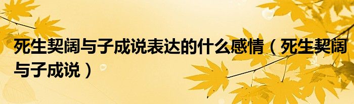 死生契阔与子成说表达的什么感情（死生契阔与子成说）