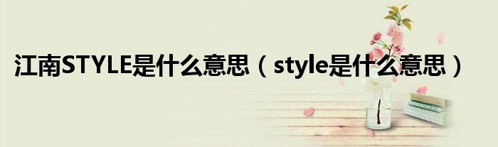 江南STYLE是什么意思（style是什么意思）