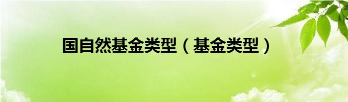 国自然基金类型（基金类型）