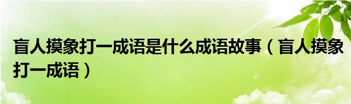 盲人摸象打一成语是什么成语故事（盲人摸象打一成语）