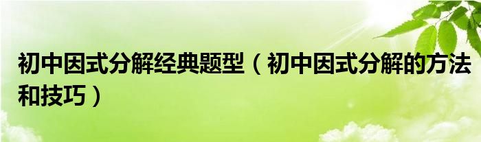 初中因式分解经典题型（初中因式分解的方法和技巧）