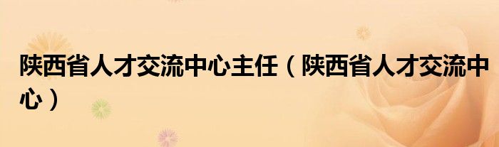 陕西省人才交流中心主任（陕西省人才交流中心）