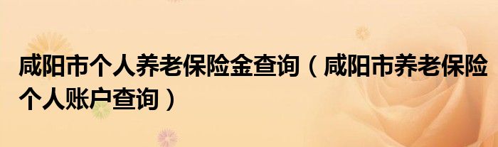 咸阳市个人养老保险金查询（咸阳市养老保险个人账户查询）