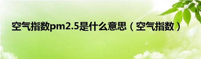 空气指数pm2.5是什么意思（空气指数）