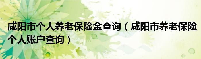 咸阳市个人养老保险金查询（咸阳市养老保险个人账户查询）