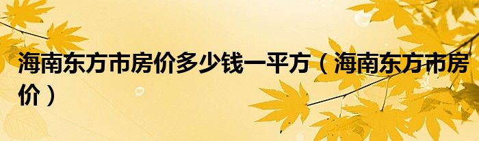 海南东方市房价多少钱一平方（海南东方市房价）