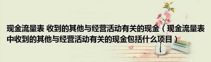 现金流量表 收到的其他与经营活动有关的现金（现金流量表中收到的其他与经营活动有关的现金包括什么项目）