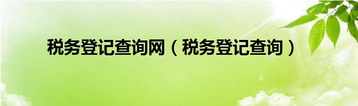 税务登记查询网（税务登记查询）