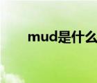 mud是什么意思（mua是什么意思）