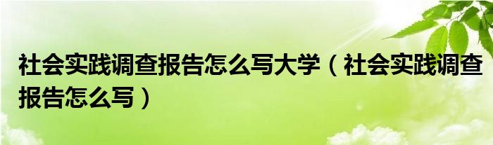 社会实践调查报告怎么写大学（社会实践调查报告怎么写）