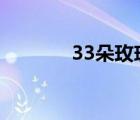 33朵玫瑰一般多少钱（33d）