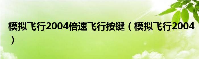 模拟飞行2004倍速飞行按键（模拟飞行2004）