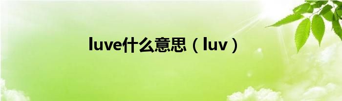 luve什么意思（luv）