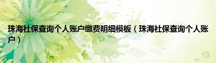 珠海社保查询个人账户缴费明细模板（珠海社保查询个人账户）