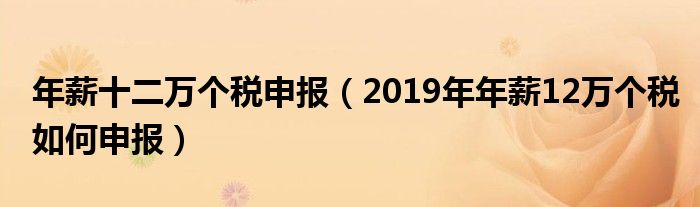 年薪十二万个税申报（2019年年薪12万个税如何申报）