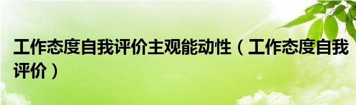 工作态度自我评价主观能动性（工作态度自我评价）