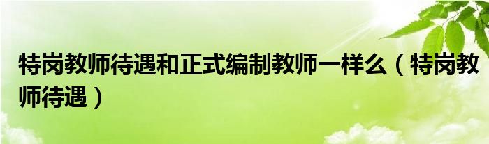 特岗教师待遇和正式编制教师一样么（特岗教师待遇）