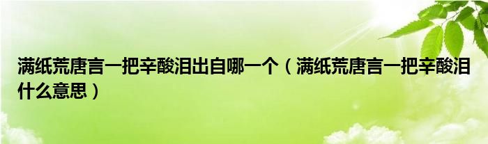 满纸荒唐言一把辛酸泪出自哪一个（满纸荒唐言一把辛酸泪什么意思）