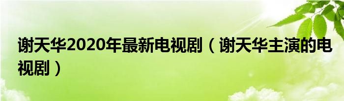 谢天华2020年最新电视剧（谢天华主演的电视剧）