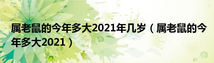 属老鼠的今年多大2021年几岁（属老鼠的今年多大2021）