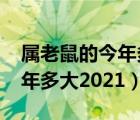 属老鼠的今年多大2021年几岁（属老鼠的今年多大2021）