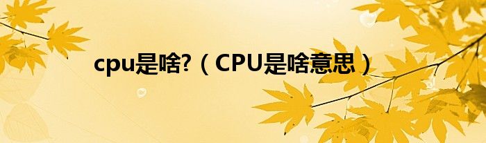 cpu是啥?（CPU是啥意思）