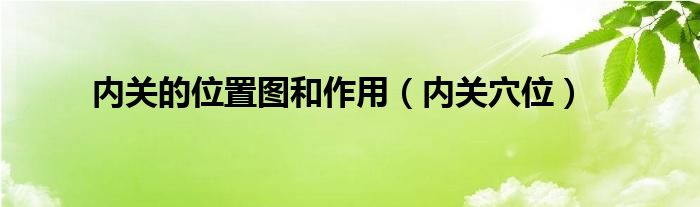 内关的位置图和作用（内关穴位）