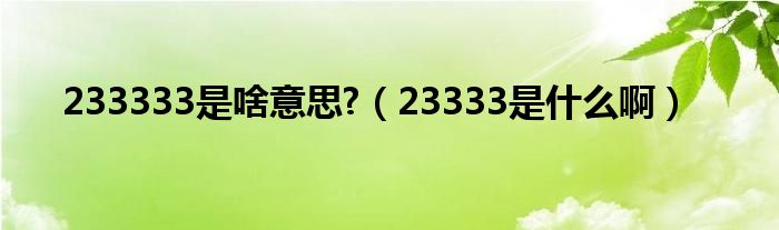 233333是啥意思?（23333是什么啊）