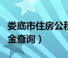 娄底市住房公积金查询网站（娄底市住房公积金查询）