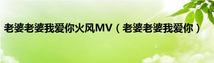 老婆老婆我爱你火风MV（老婆老婆我爱你）