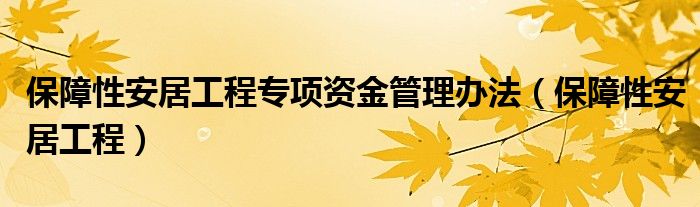 保障性安居工程专项资金管理办法（保障性安居工程）