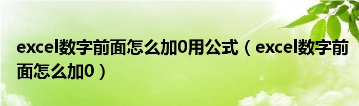 excel数字前面怎么加0用公式（excel数字前面怎么加0）