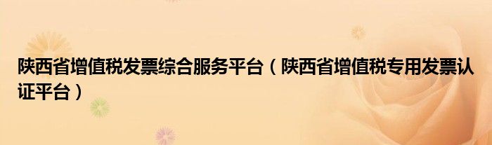 陕西省增值税发票综合服务平台（陕西省增值税专用发票认证平台）