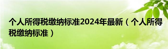 个人所得税缴纳标准2024年最新（个人所得税缴纳标准）