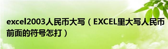 excel2003人民币大写（EXCEL里大写人民币前面的符号怎打）