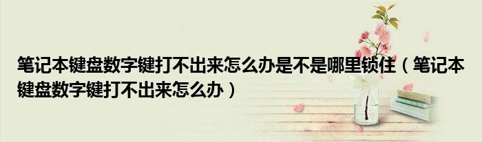 笔记本键盘数字键打不出来怎么办是不是哪里锁住（笔记本键盘数字键打不出来怎么办）